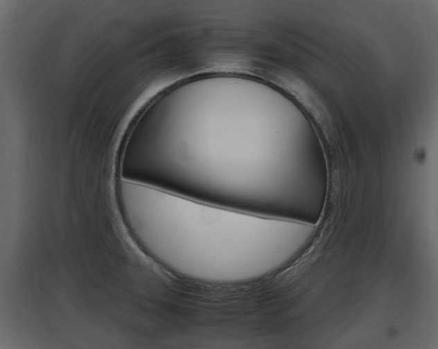 X0000097761331200803070828