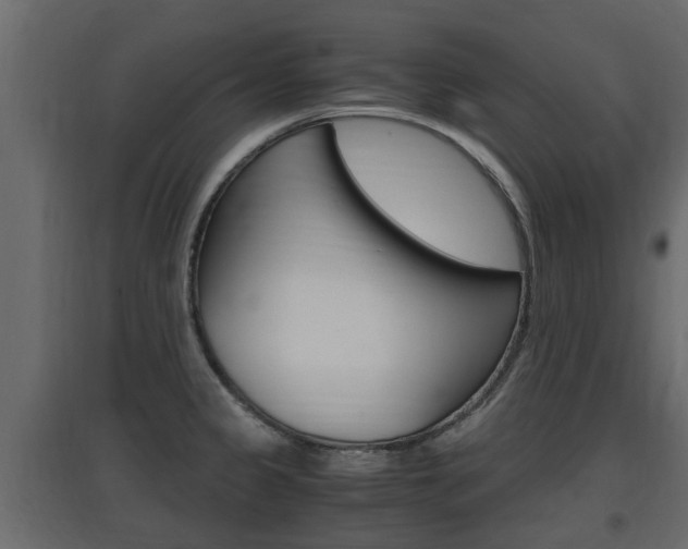 X0000097761333200803070828