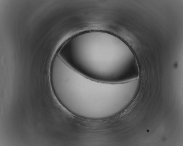 X0000097761334200803070828