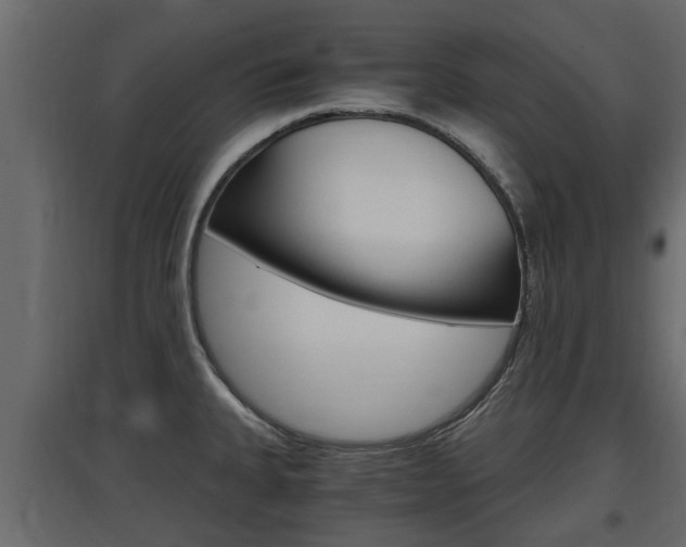 X0000097761335200803070828