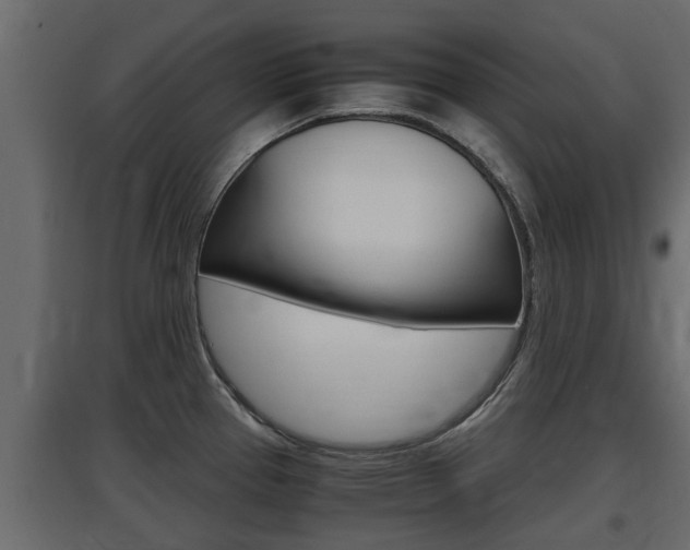 X0000097761337200803070828