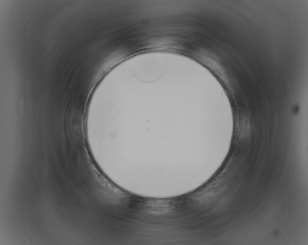 X0000097761338200803070828