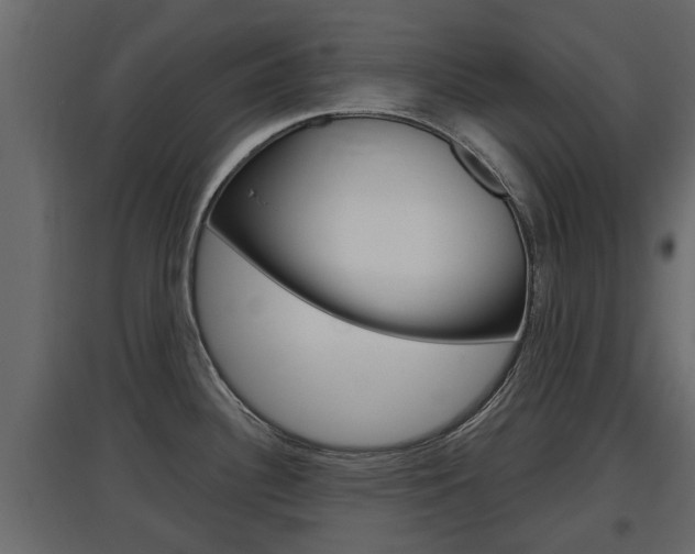 X0000097761340200803070828
