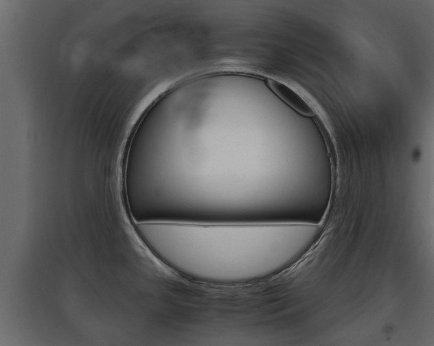 X0000097761341200803070828