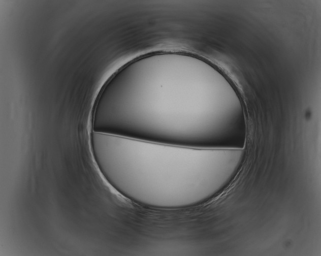 X0000097761343200803070828