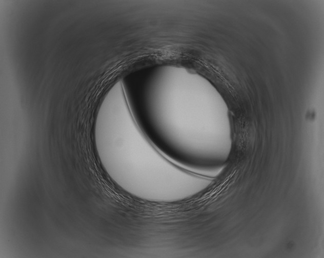 X0000097761345200803070827
