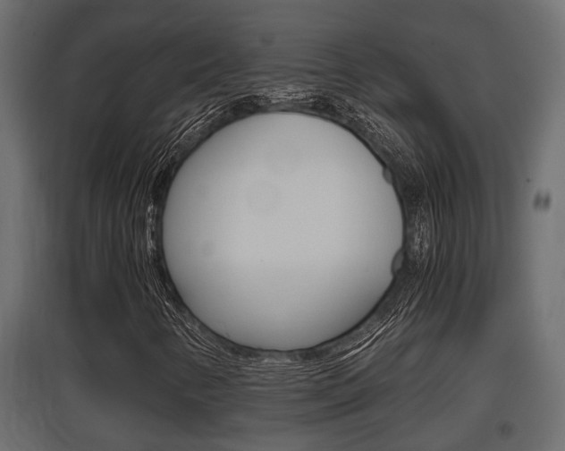 X0000097761346200803070827