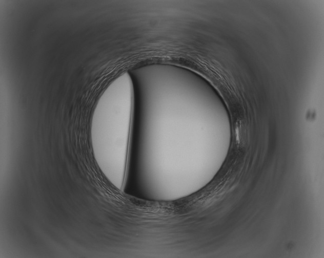 X0000097761347200803070827