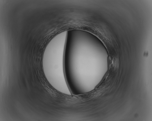 X0000097761348200803070827