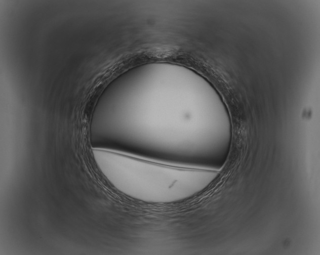X0000097761349200803070827