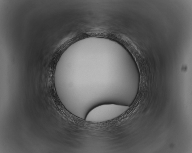 X0000097761350200803070827