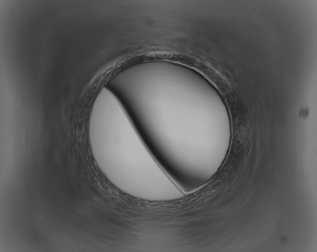 X0000097761351200803070827