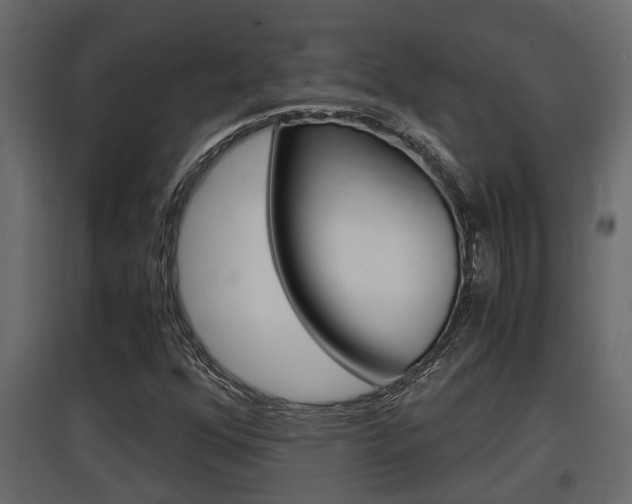 X0000097761352200803070827