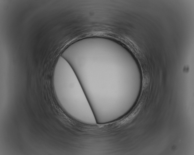 X0000097761353200803070827