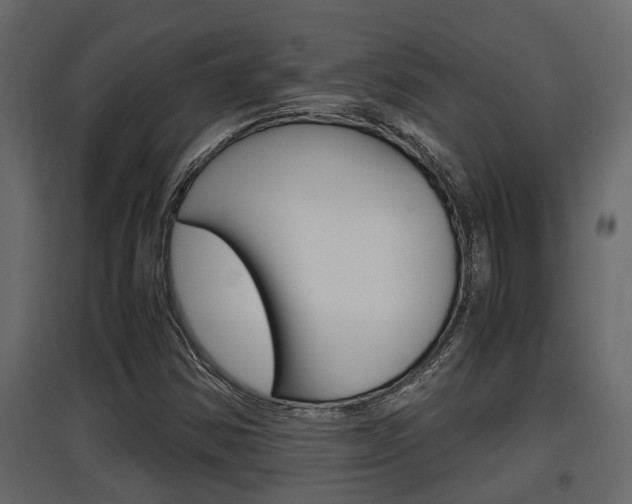 X0000097761354200803070827