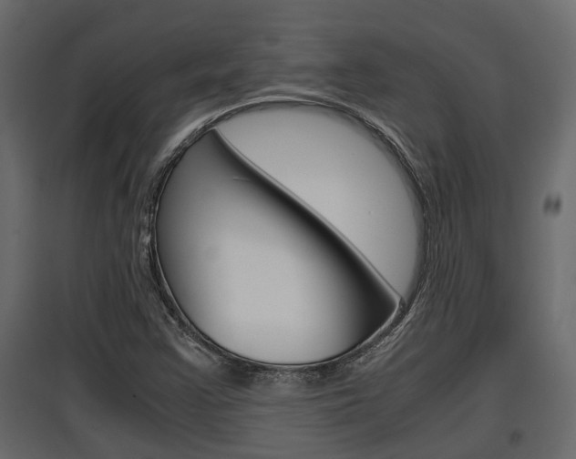 X0000097761355200803070827