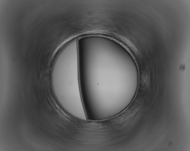 X0000097761356200803070827