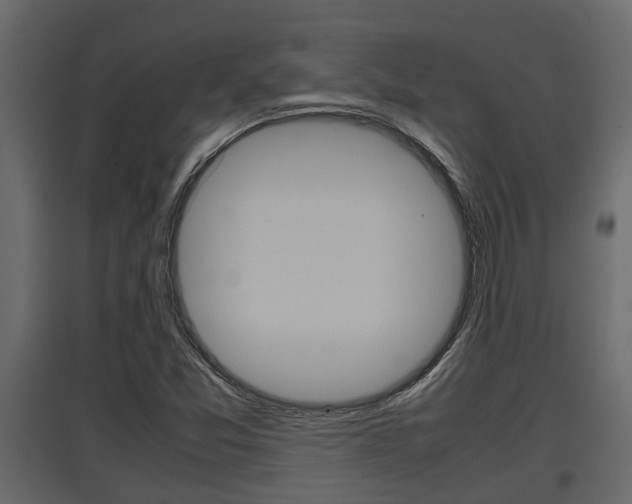 X0000097761357200803070827