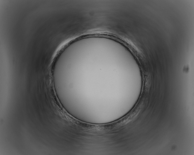 X0000097761358200803070827