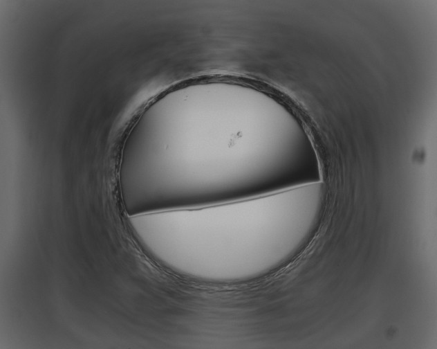 X0000097761359200803070827