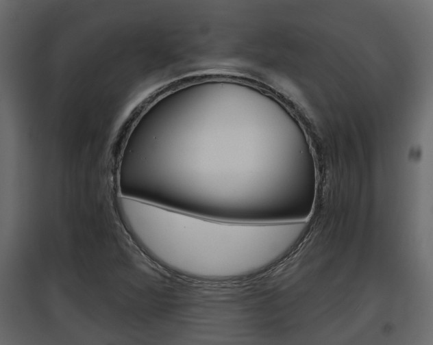 X0000097761360200803070827