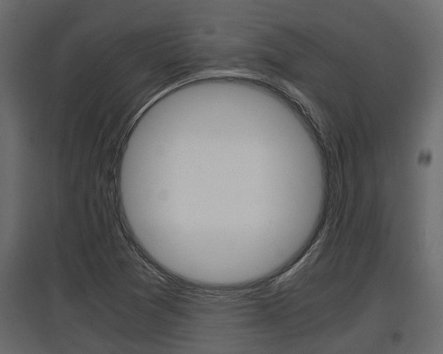 X0000097761361200803070827