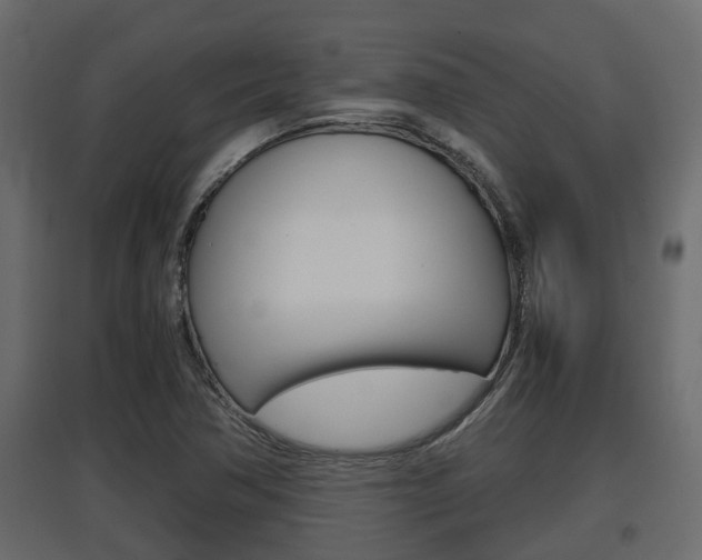 X0000097761362200803070827