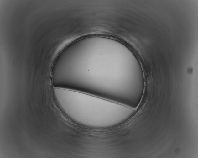 X0000097761363200803070827
