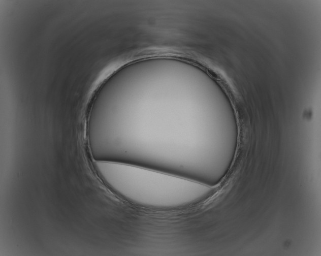 X0000097761365200803070827