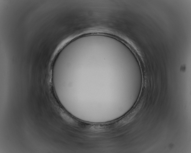 X0000097761366200803070827