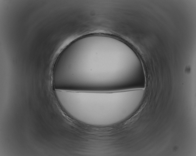 X0000097761367200803070827