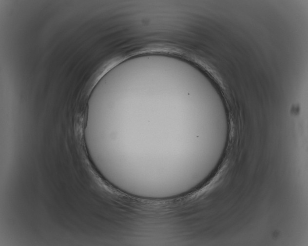 X0000097761369200803070827