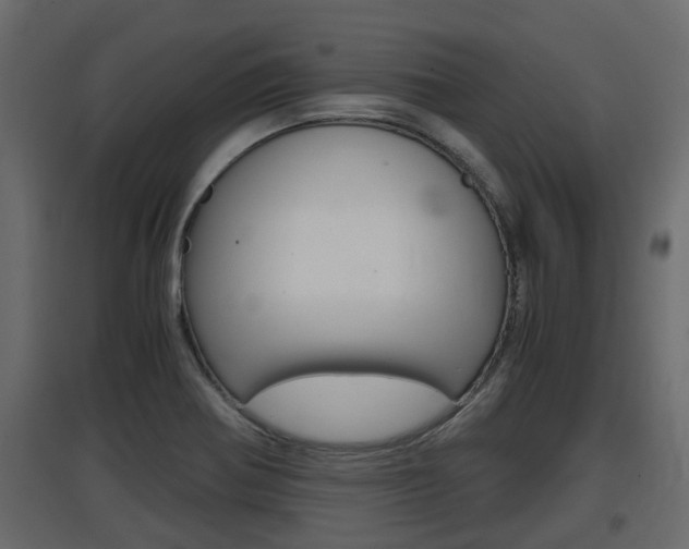 X0000097761370200803070827