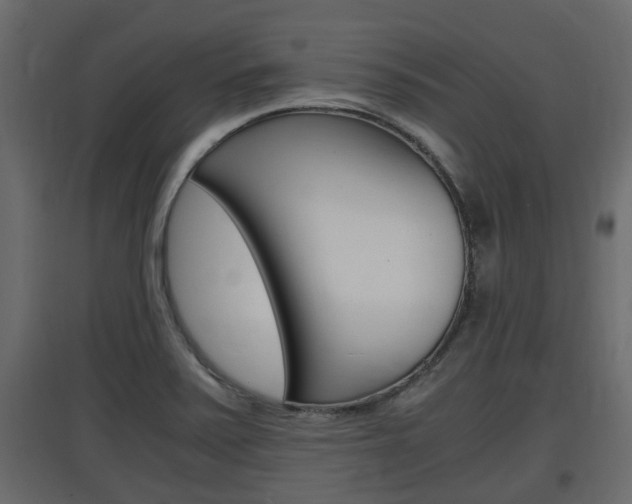 X0000097761371200803070827