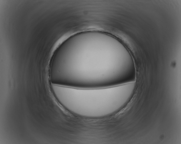 X0000097761373200803070827