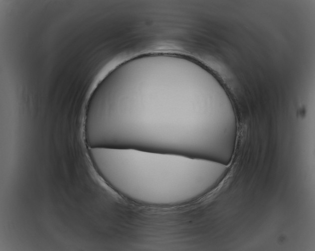 X0000097761374200803070827