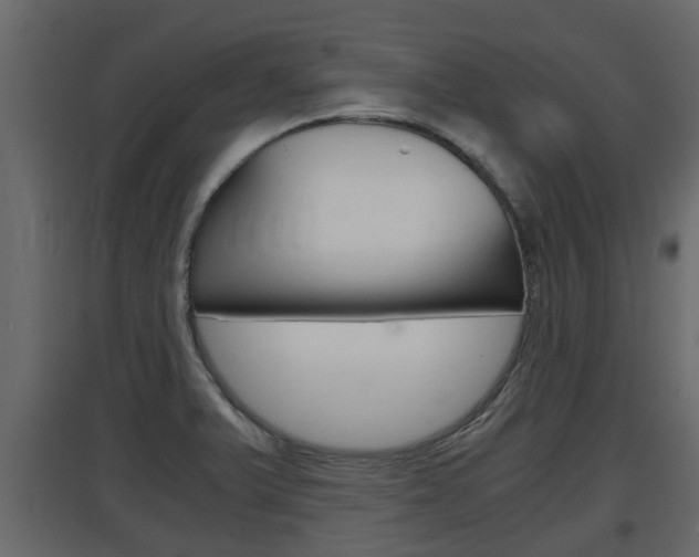 X0000097761375200803070827