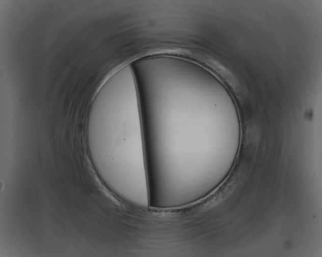 X0000097761377200803070827