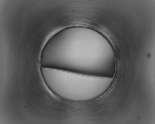 X0000097761379200803070826