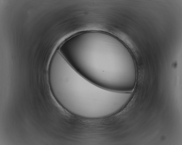 X0000097761380200803070826