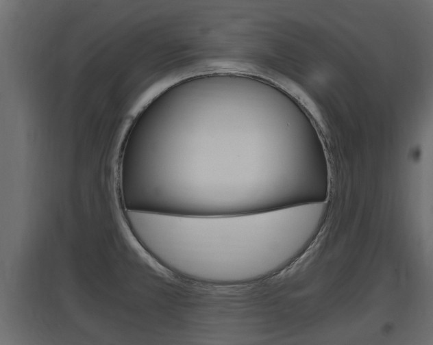 X0000097761381200803070826