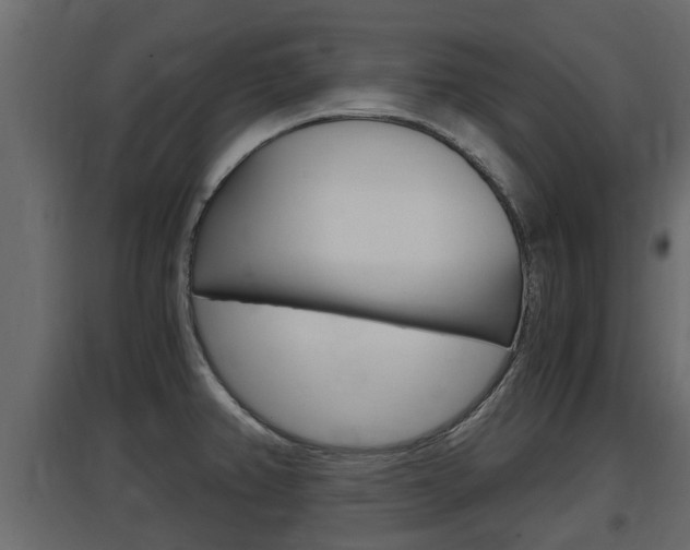 X0000097761382200803070826