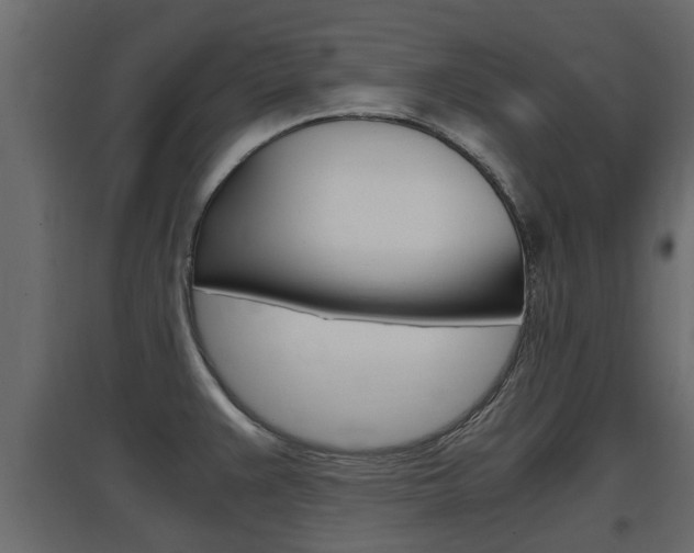 X0000097761383200803070826