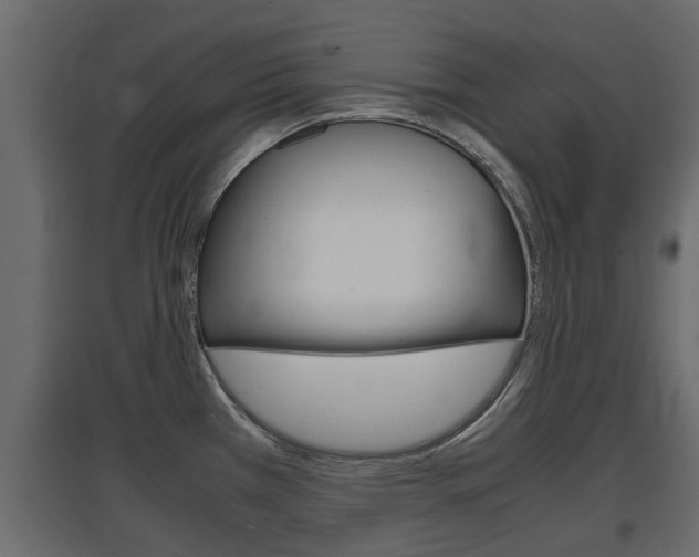 X0000097761385200803070826