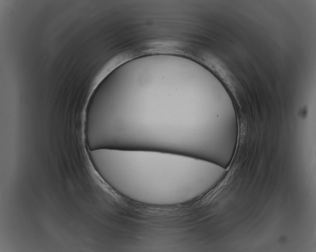 X0000097761386200803070826