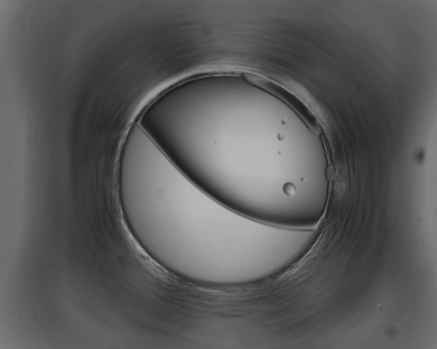 X0000097761388200803070826