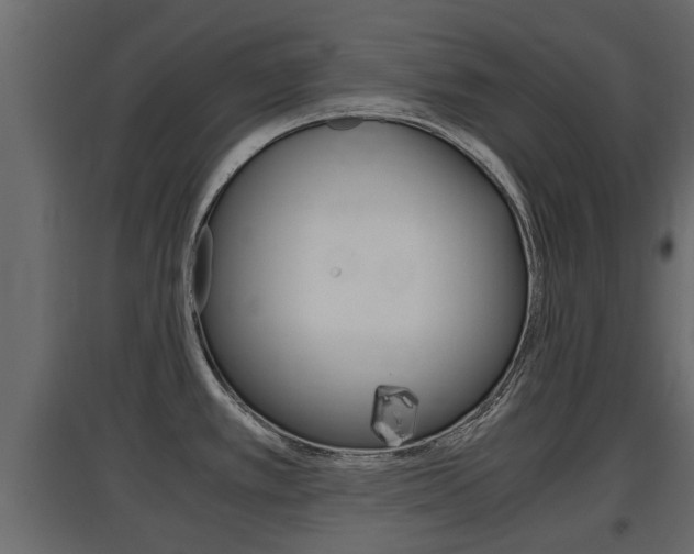 X0000097761389200803070826
