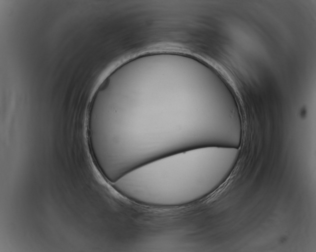 X0000097761390200803070826