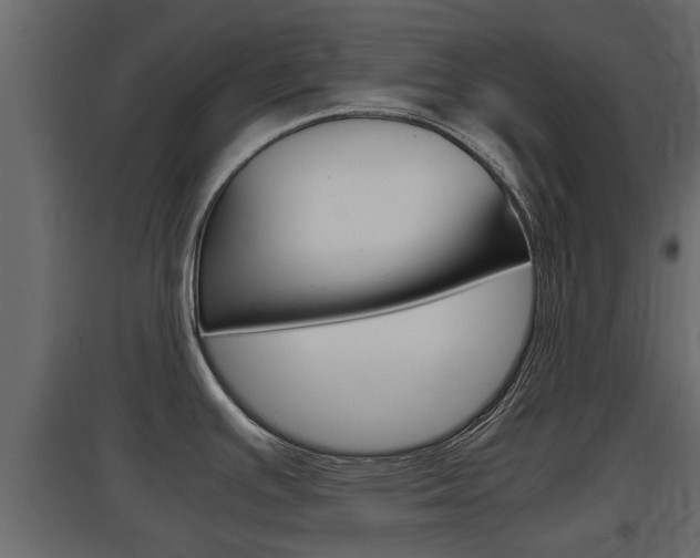 X0000097761391200803070826