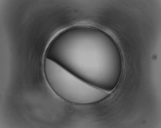 X0000097761392200803070826